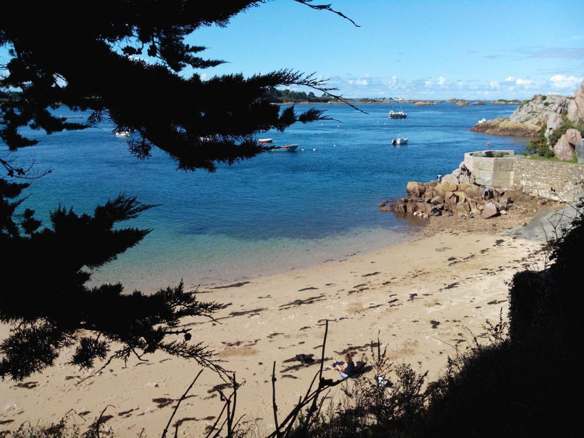 Gite De La Marina Dans La Presqu'Ile De Lézardrieux Exteriör bild